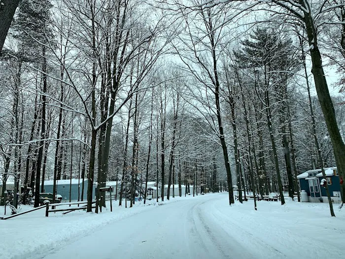 Sandy Pines Main Entrance & Camping Check In Picture 4