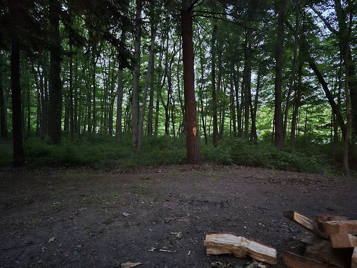 Ely Lake Campground Picture 6
