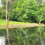 Brantley Mobile Home Park