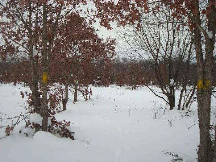Horsemans Campground Picture 1