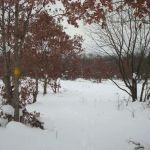 Horsemans Campground