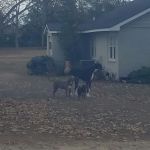 The Junction Mobile Home Park