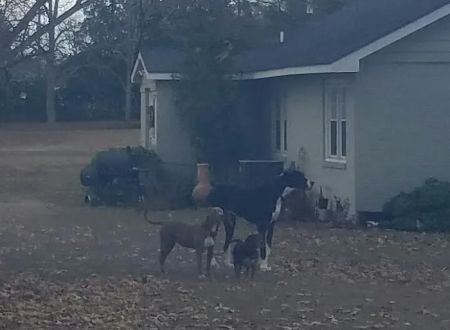 The Junction Mobile Home Park