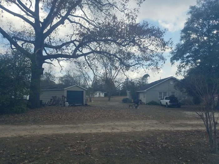The Junction Mobile Home Park Picture 2