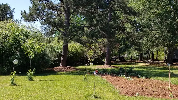 Ramsey RV Park Picture 9