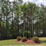 Bellamy Place Mobile Home Park