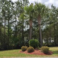 Bellamy Place Mobile Home Park ico