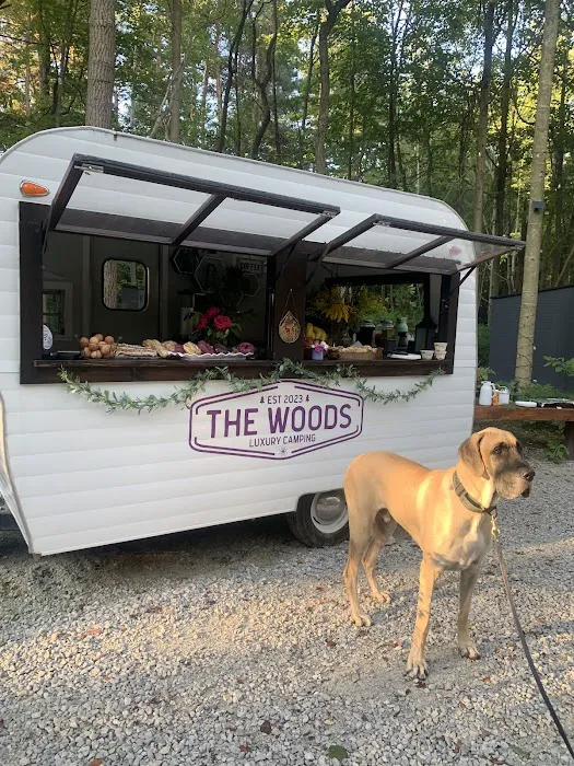 The Woods Luxury Camping Picture 3