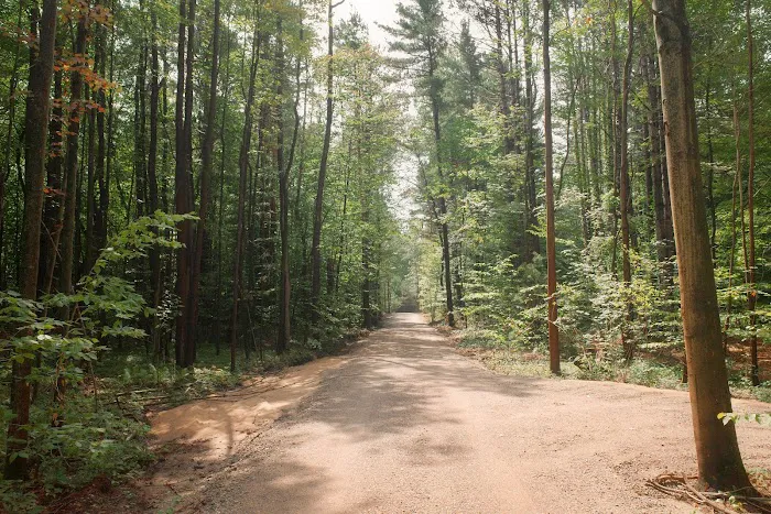 The Woods Luxury Camping Picture 8