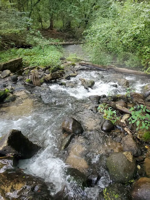 Silver Creek County Park/ Campground - $17 per night, $5 Day use trail fee Picture 2