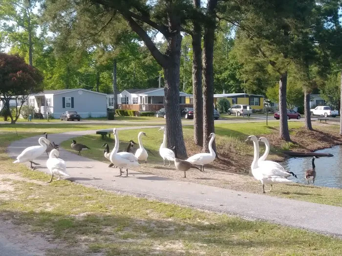 Crystal Lake Mobile Home Village Picture 7