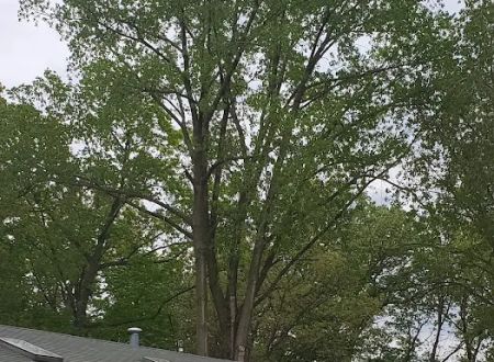 Three Seasons Family Campground LLC
