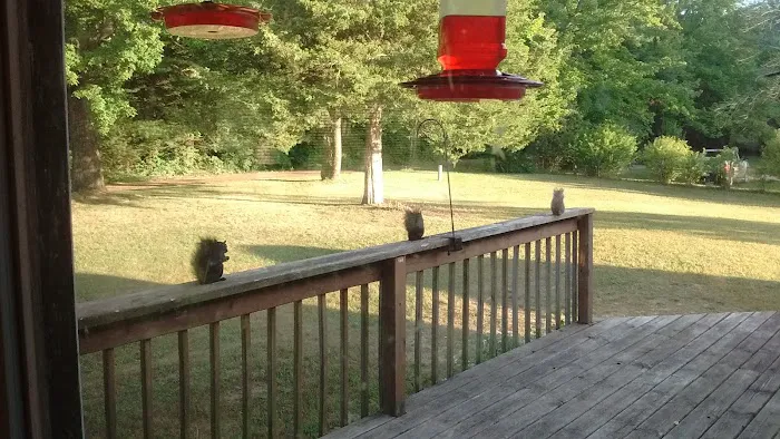 Lincoln Pines Resort Picture 3