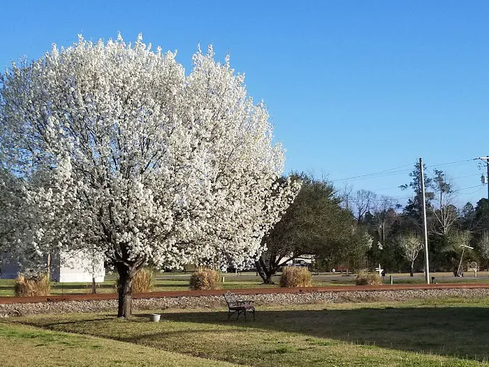 Saddlebrook Mobile Home Park Picture 8