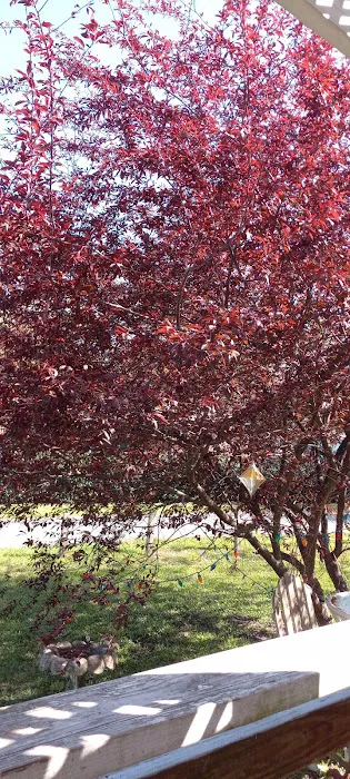 Green Dolphin Mobile Home Park Picture 4