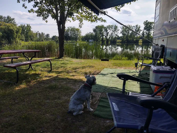 Cedar Springs RV Resort Picture 4