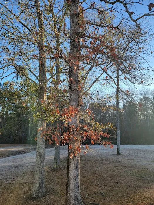 Brookgreen Mobile Home Rentals Picture 3