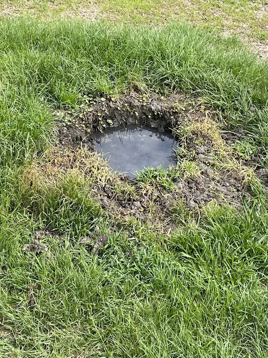 R & R Mobile Home Park Picture 9