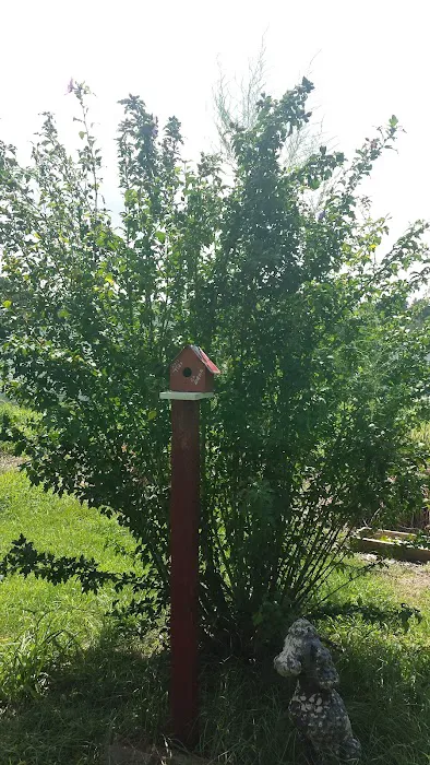 R & R Mobile Home Park Picture 10