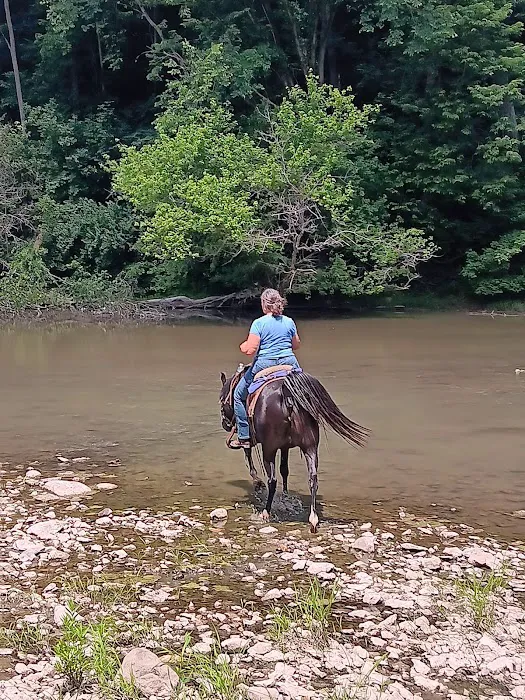 Salamonie River State Forest Family Campground Picture 6
