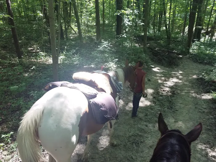 Salamonie River State Forest Horseman's Camp Picture 3