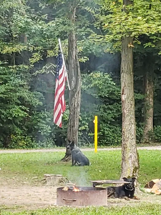 Salamonie River State Forest Horseman's Camp Picture 7