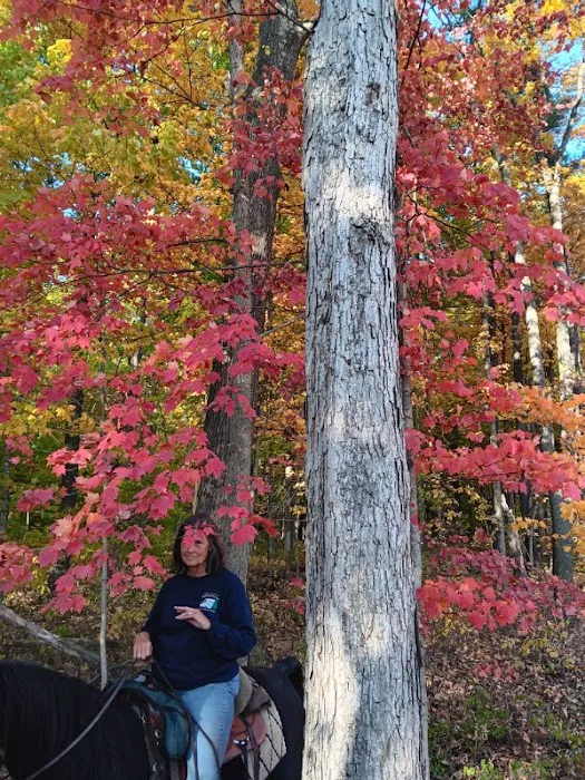Salamonie River State Forest Horseman's Camp Picture 8