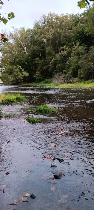 Salamonie River State Forest Horseman's Camp Picture 10