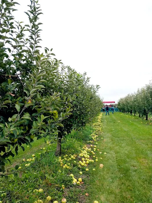 Apple Orchard Primitive Campground Picture 2