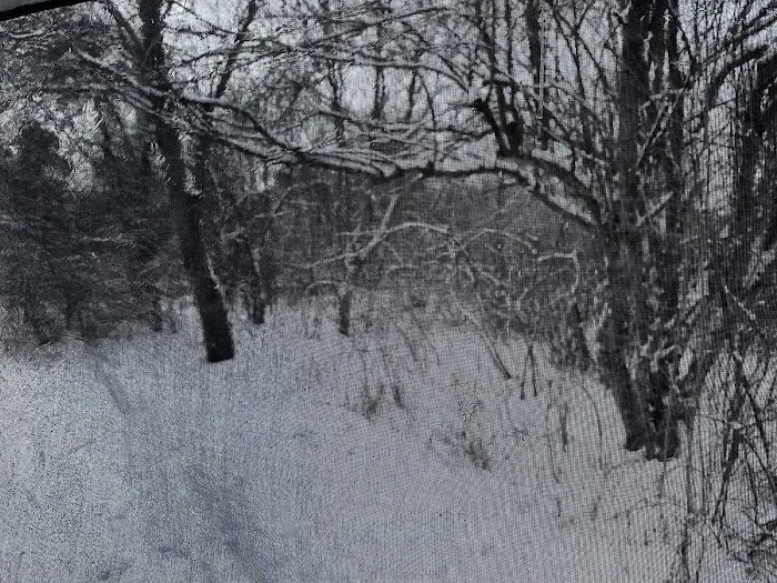 Apple Orchard Primitive Campground Picture 9