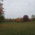 Oak Grove Meadows Mobile Home Community