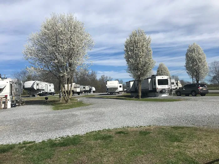 Fisherman's Rest RV Park Picture 2