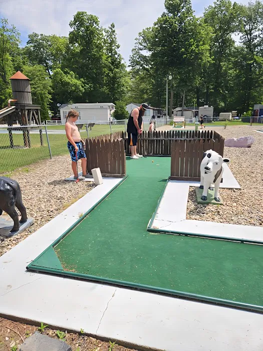 Yogi Bear's Jellystone Park Picture 9