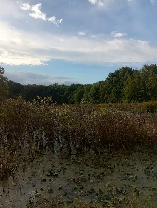 Hidden Lake Paradise Campground, LLC Picture 4