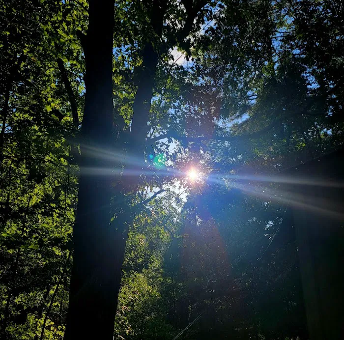 Woodlands Hollow Nature Retreat Picture 6
