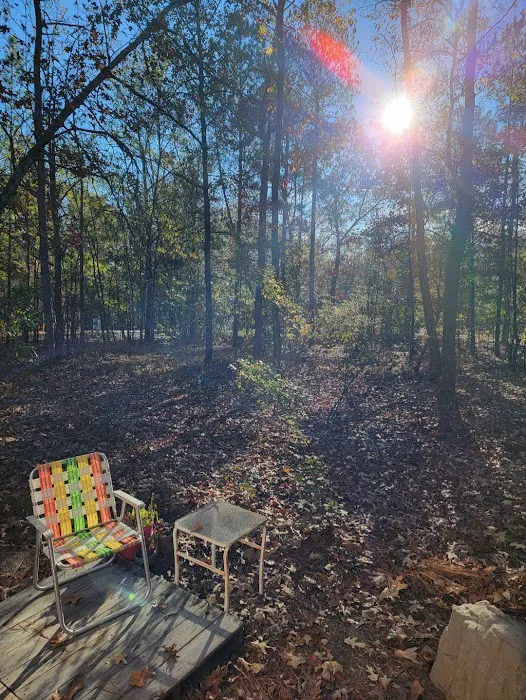 Woodlands Hollow Nature Retreat Picture 9