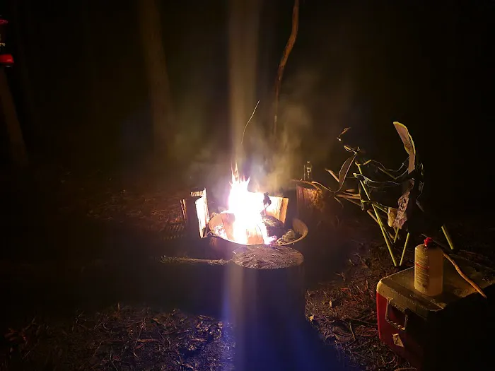 Longleaf Campground Picture 2