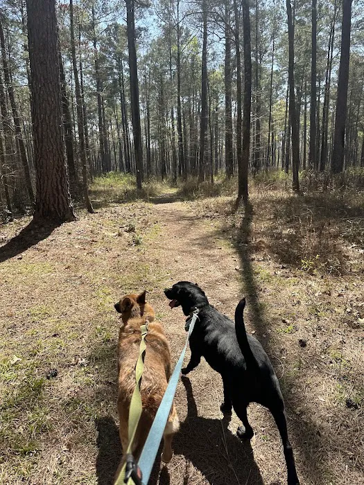 Longleaf Campground Picture 6