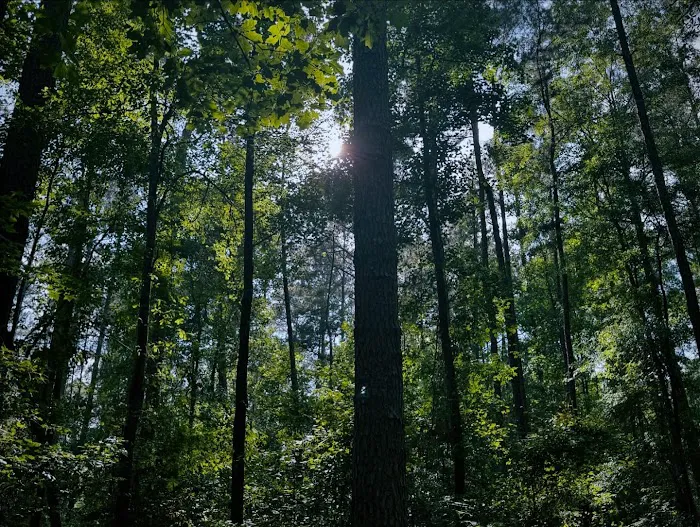 Longleaf Campground Picture 8