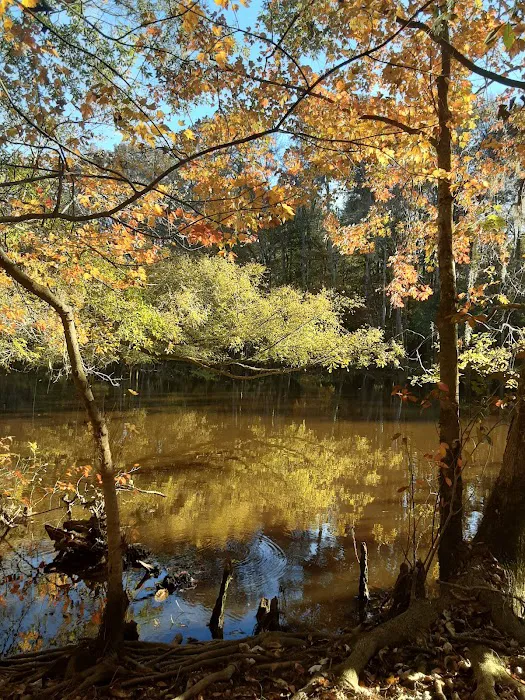 Longleaf Campground Picture 9