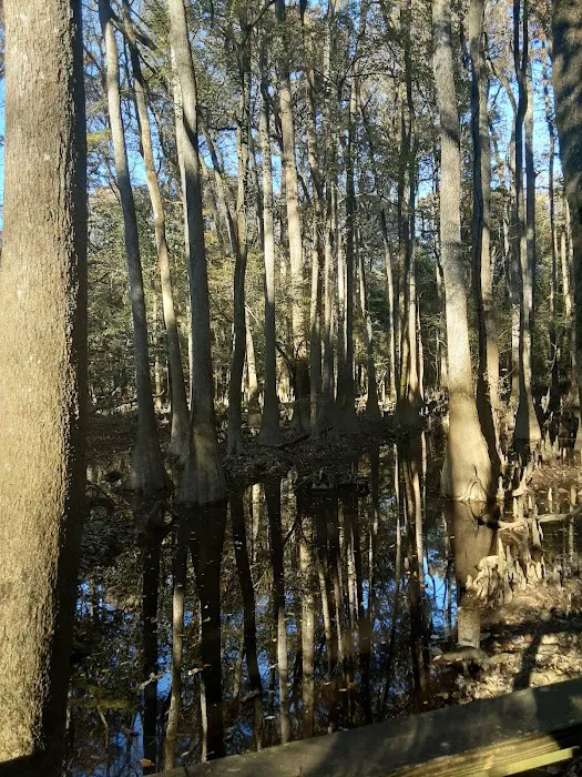 Longleaf Campground Picture 10