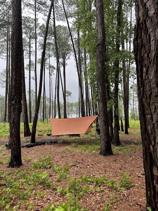 Bluff Campground Picture 8