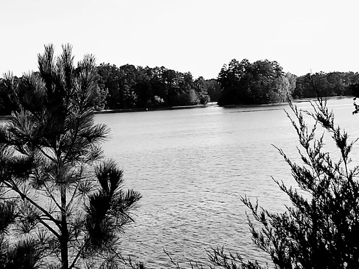 US Army Corps of Engineers Picture 9