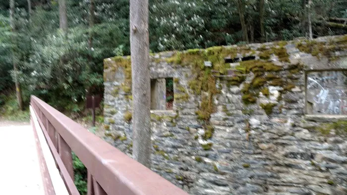 VA Campground Picture 2