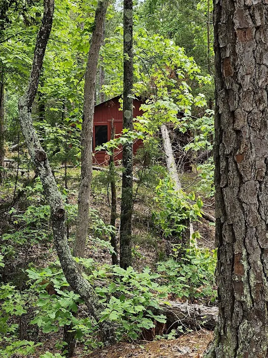 VA Campground Picture 6
