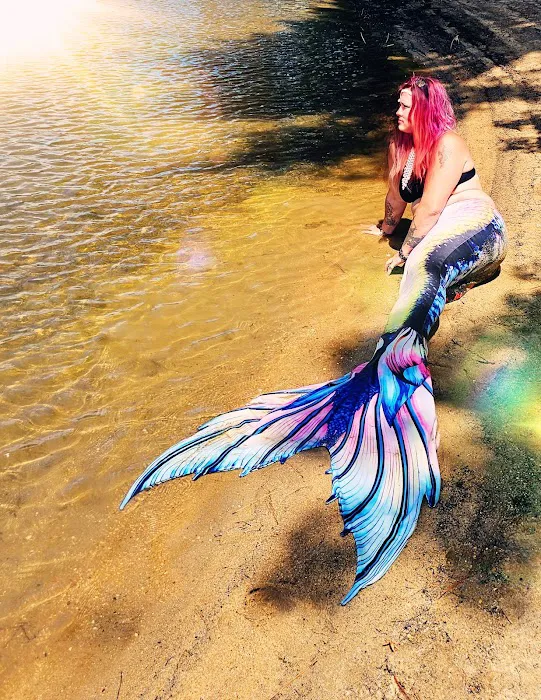 LAKE SPRINGS Picture 2