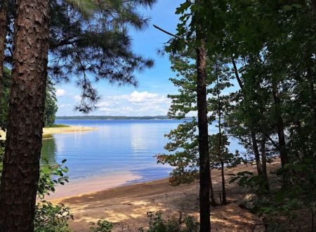 LAKE SPRINGS