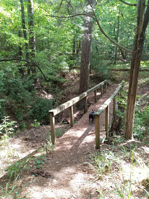 LAKE SPRINGS Picture 5