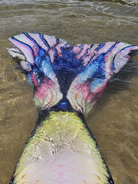 LAKE SPRINGS Picture 8