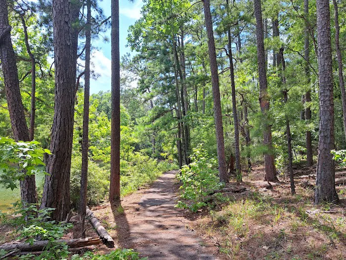 LAKE SPRINGS Picture 7